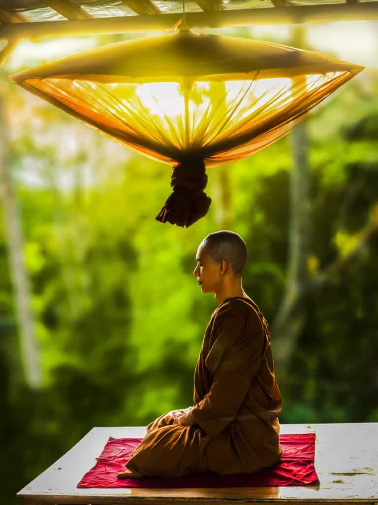 Les 5 meilleurs livres sur Thich Nhat Hanh en 2022