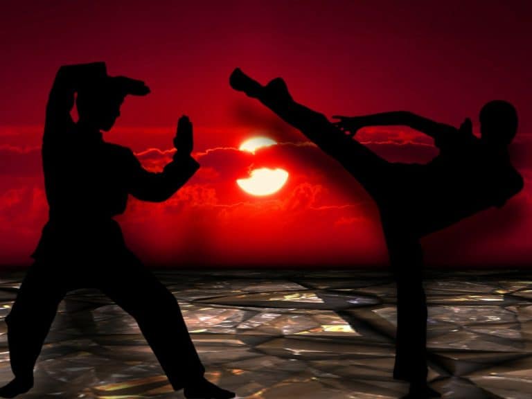 Les 5 meilleurs livres sur Wing Chun en 2022