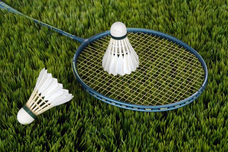 Les 5 meilleurs livres sur le badminton en 2022